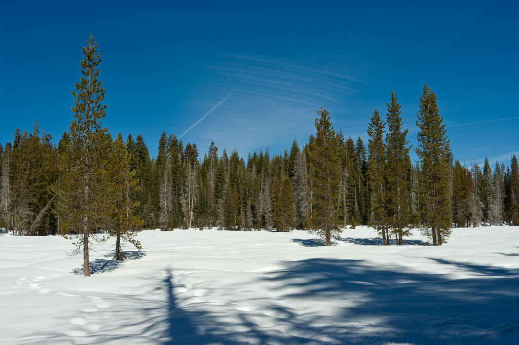 P03_5533.jpg