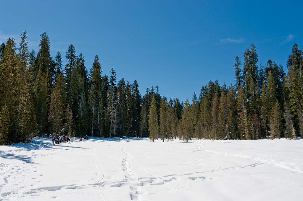 P03_5538.jpg