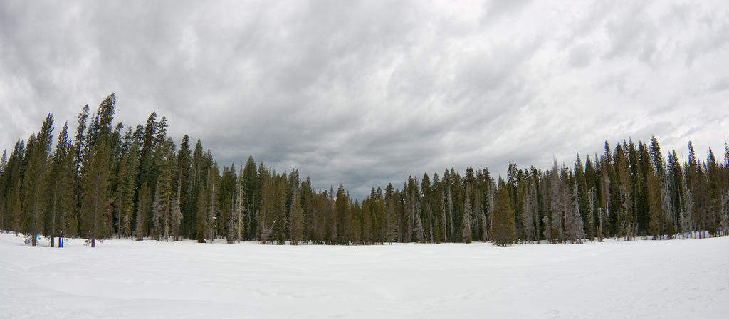 P03_7247.jpg