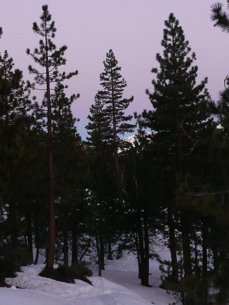 P1000896.JPG