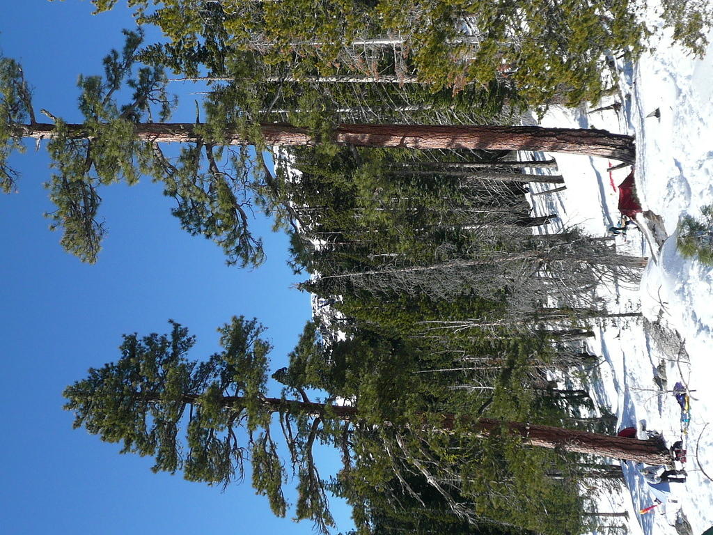 P1000910.JPG