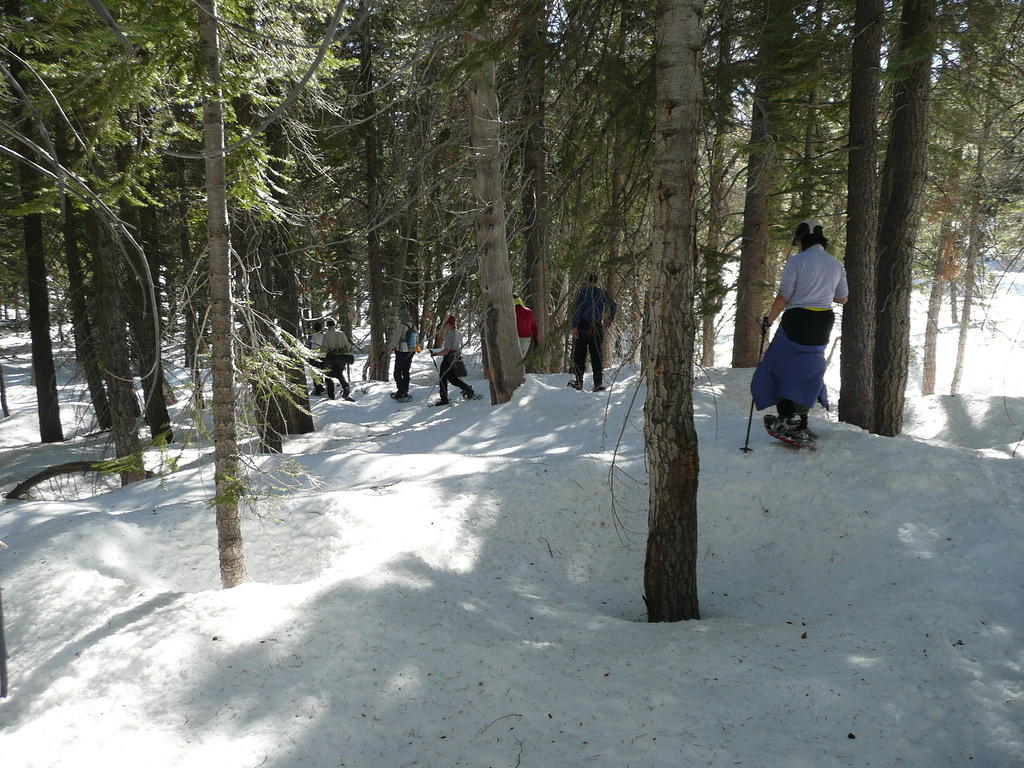 P1000920.JPG