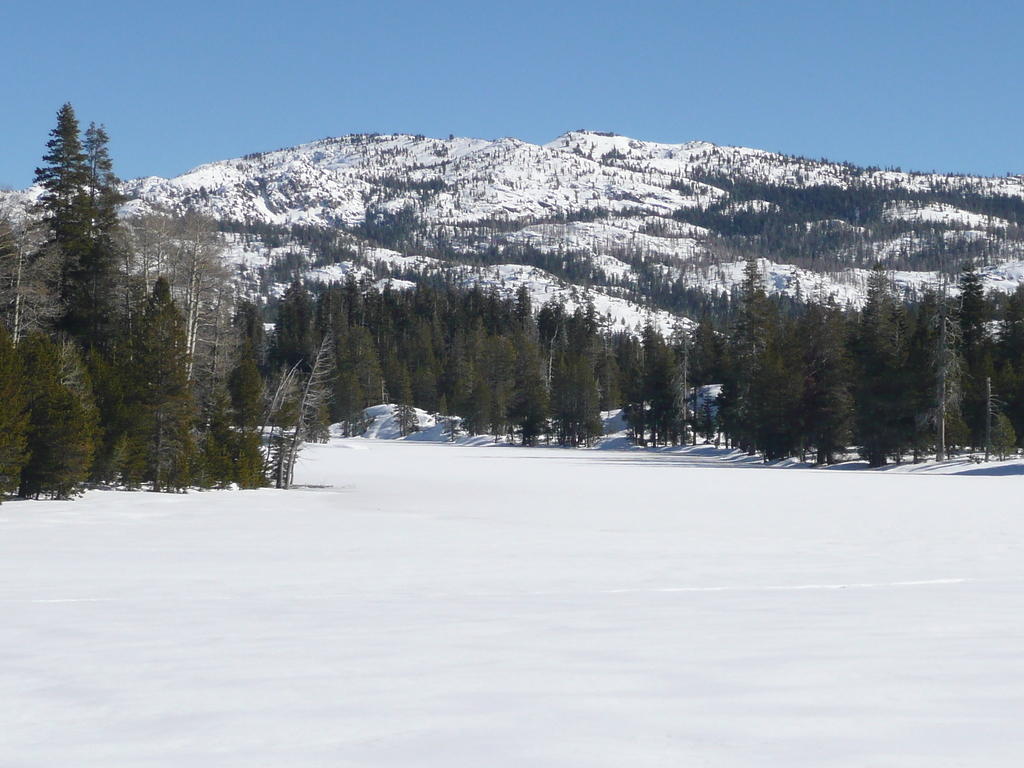 P1000924.JPG