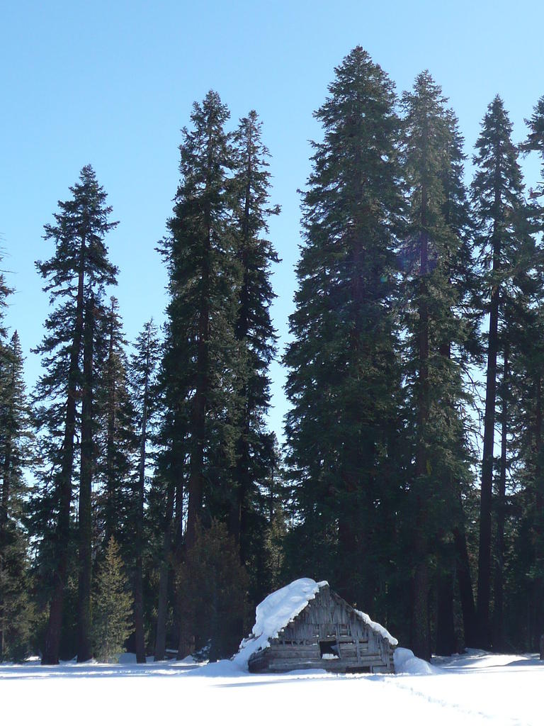 P1000936.JPG