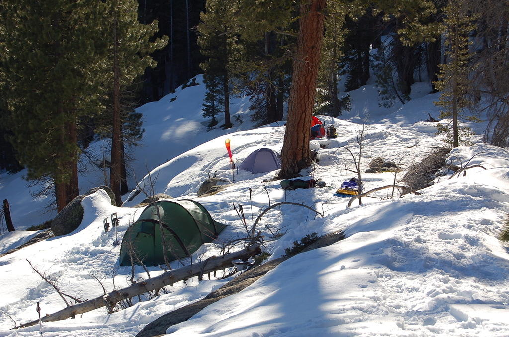 DSC_3393.JPG