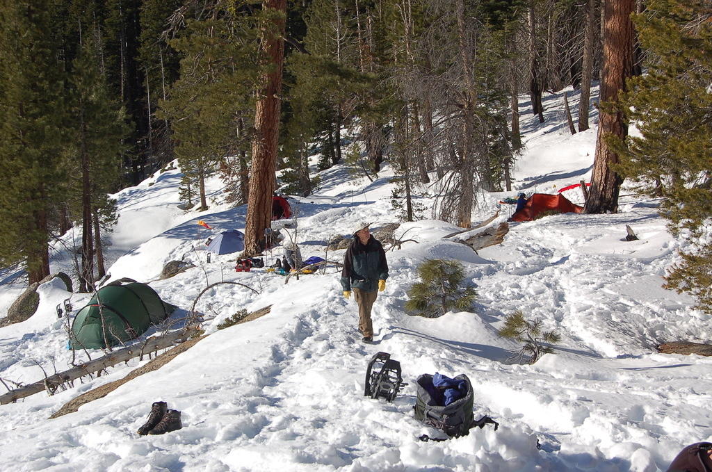 DSC_3420.JPG