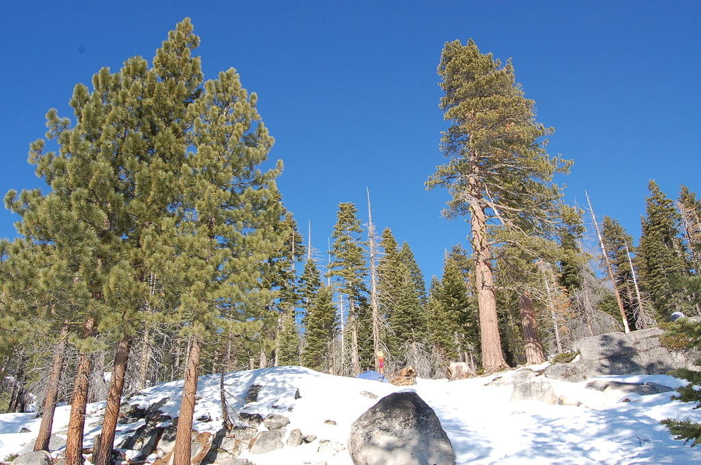 DSC_3421.JPG