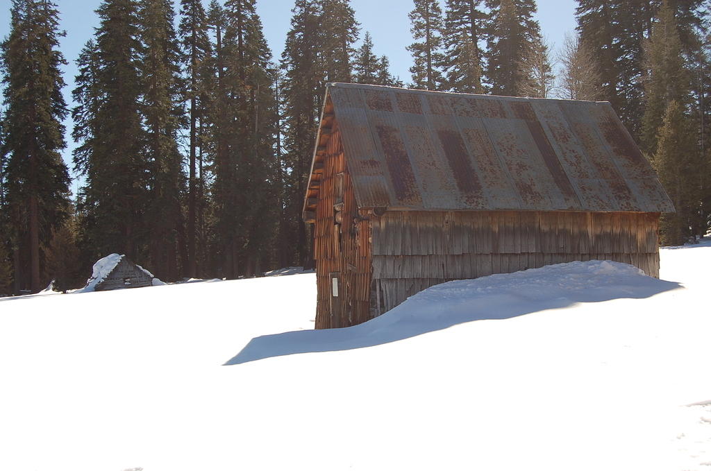 DSC_3446.JPG