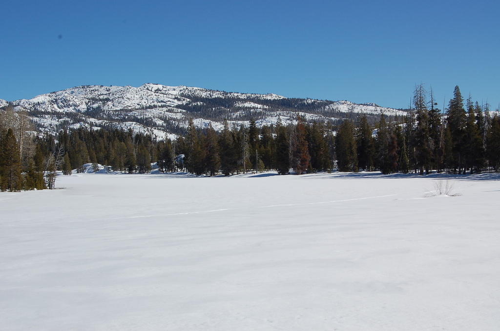 DSC_3447.JPG