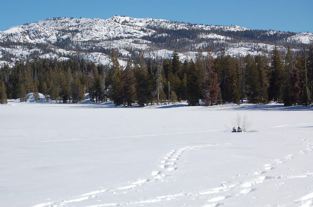 DSC_3451.JPG