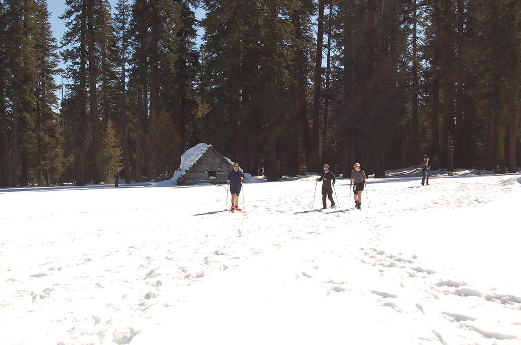 DSC_3458.JPG