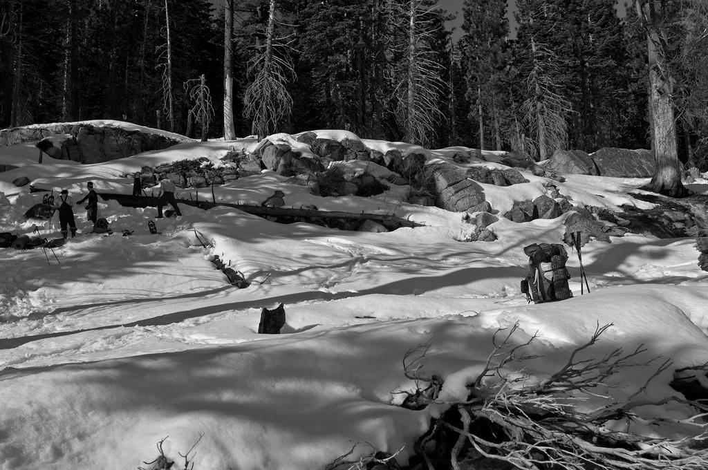 P03_4748.jpg