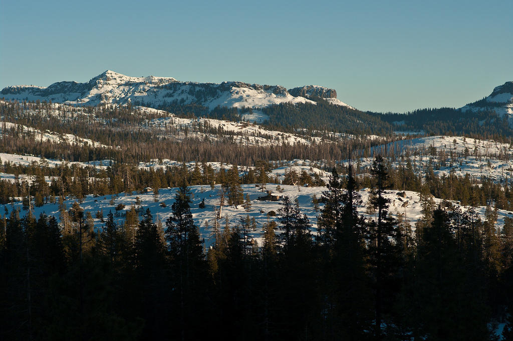 P03_4766.jpg