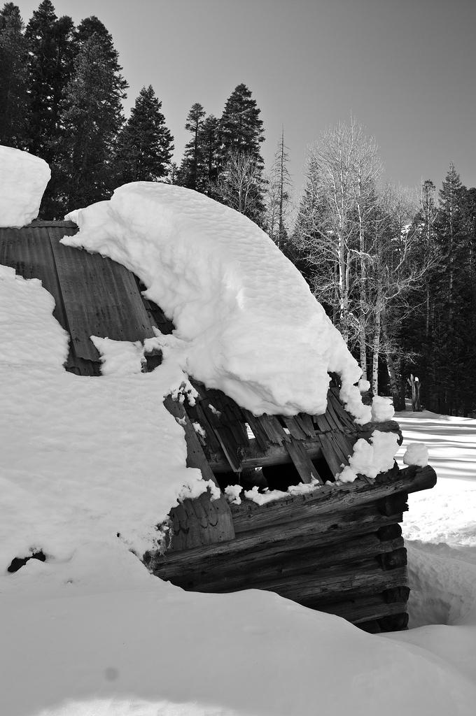 P03_5290.jpg