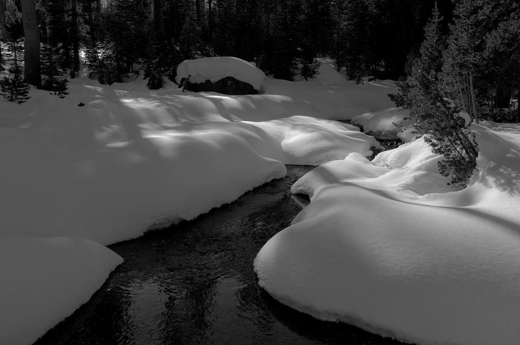 P03_5467.jpg