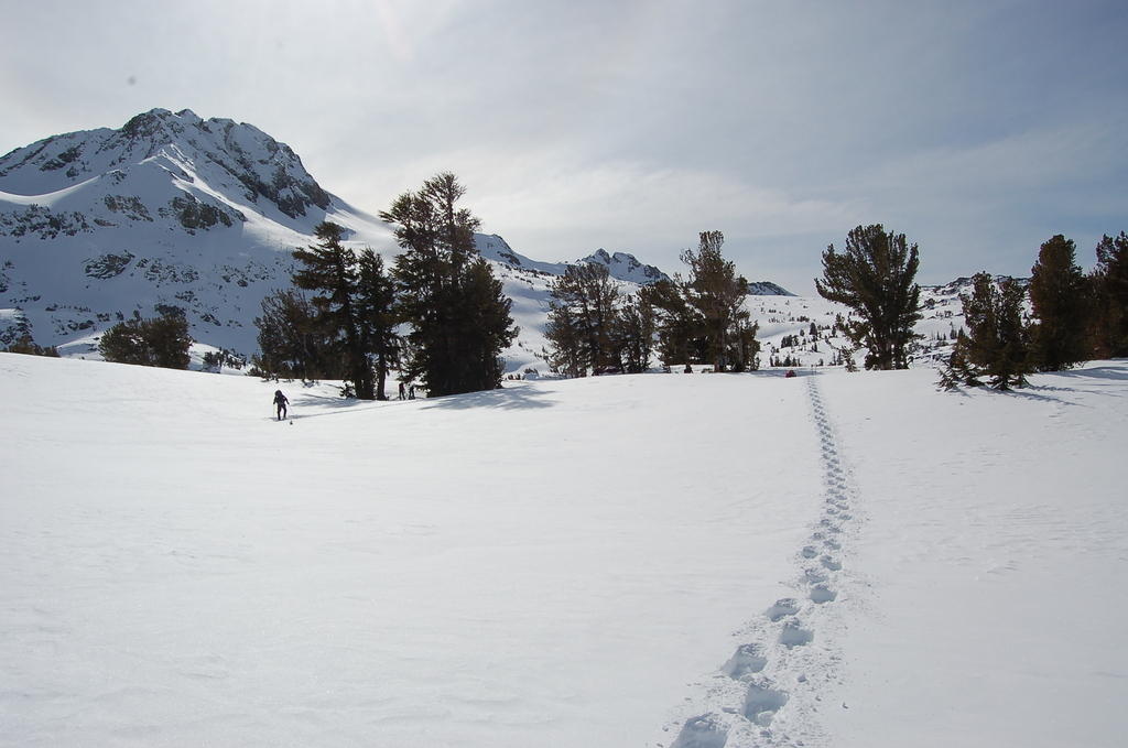 DSC_3528.JPG
