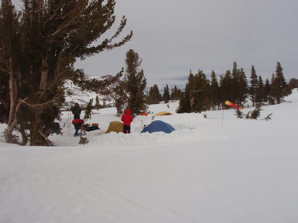 P2210100.JPG