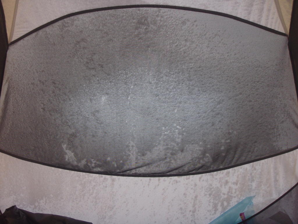 P2220105.JPG