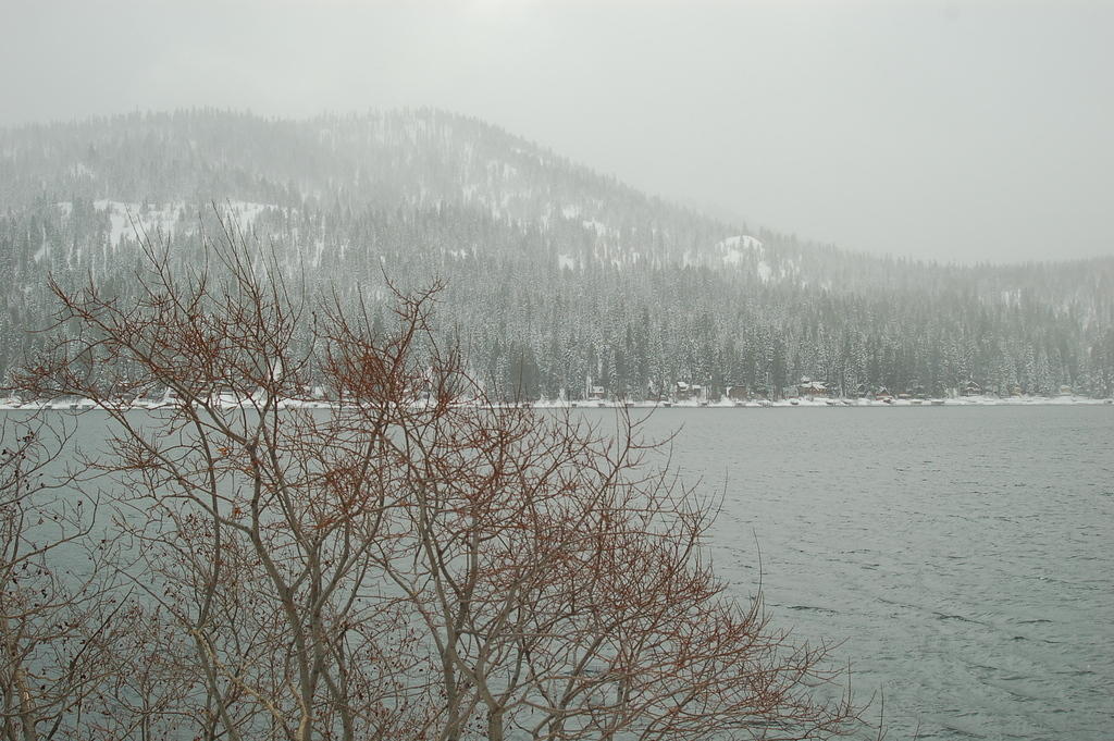 DSC_9643.JPG