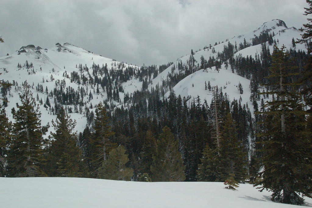 DSC_9726.JPG
