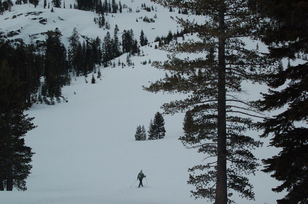 DSC_9729.JPG