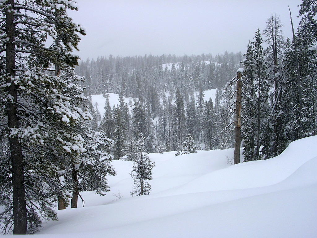 DSCN8638.JPG