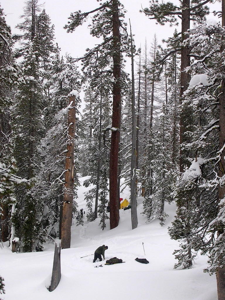DSCN8648.JPG