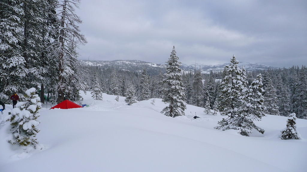 20100207_2537.jpg