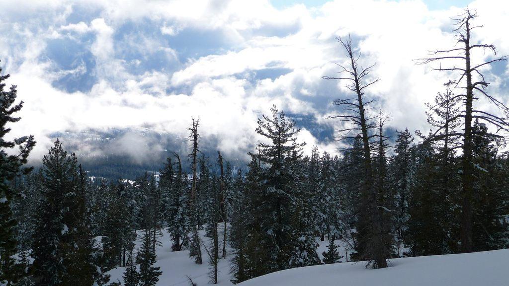 20100227_2934.jpg
