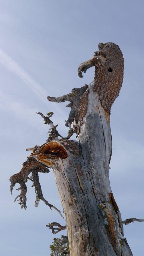 20100228_2866.jpg