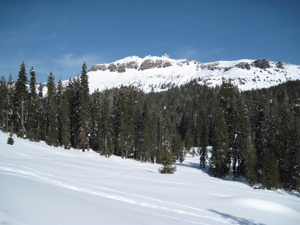 IMG_0314.jpg