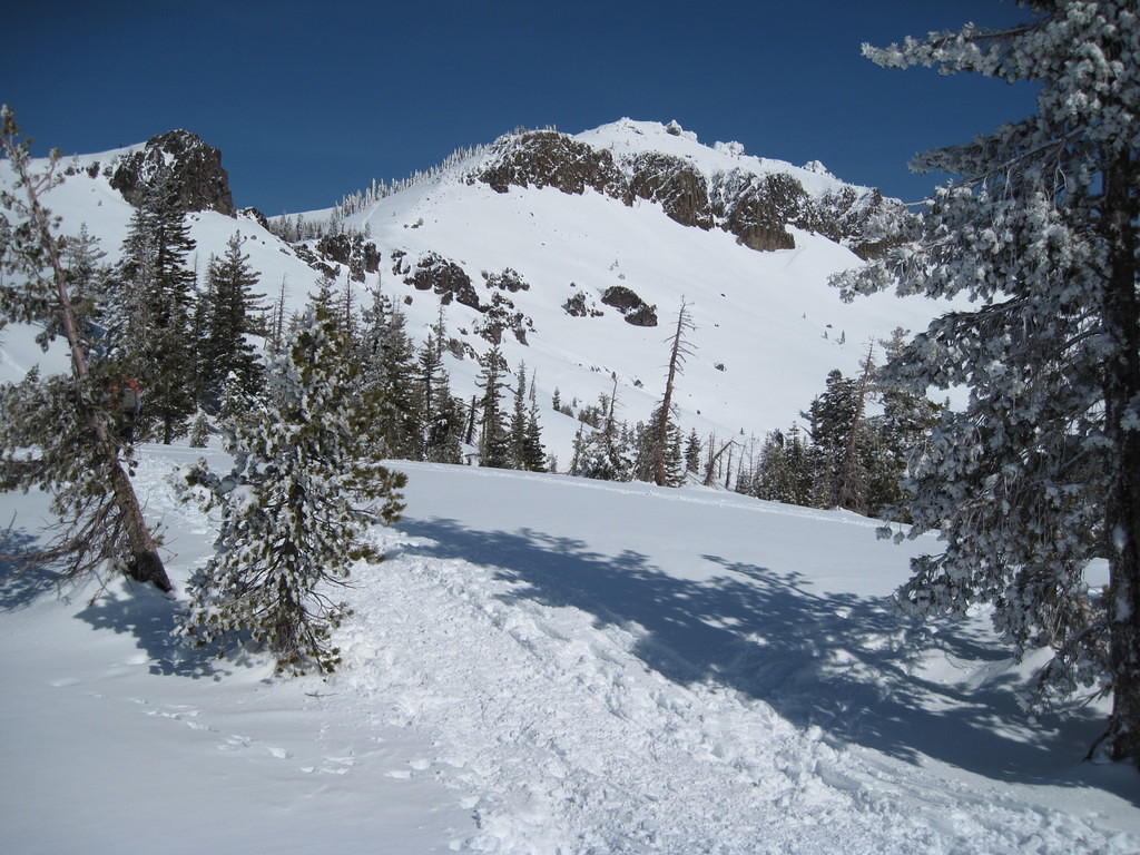 IMG_0318.jpg