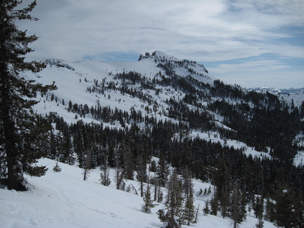 IMG_0353.jpg