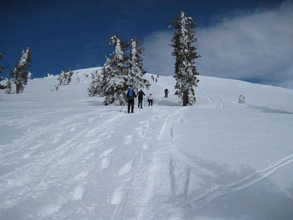 IMG_0356.jpg