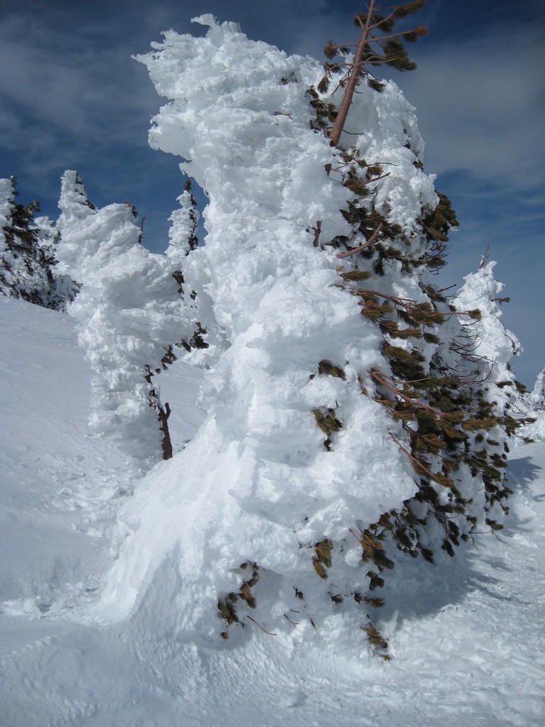 IMG_0362.jpg