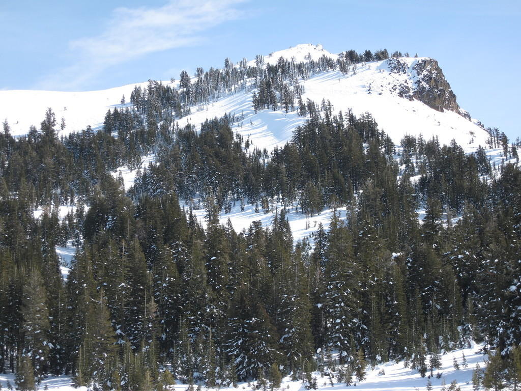 IMG_0381.jpg