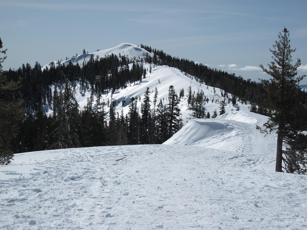 IMG_0383.jpg