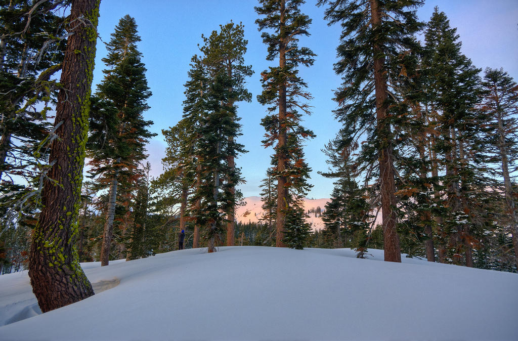 P07_3060t.jpg