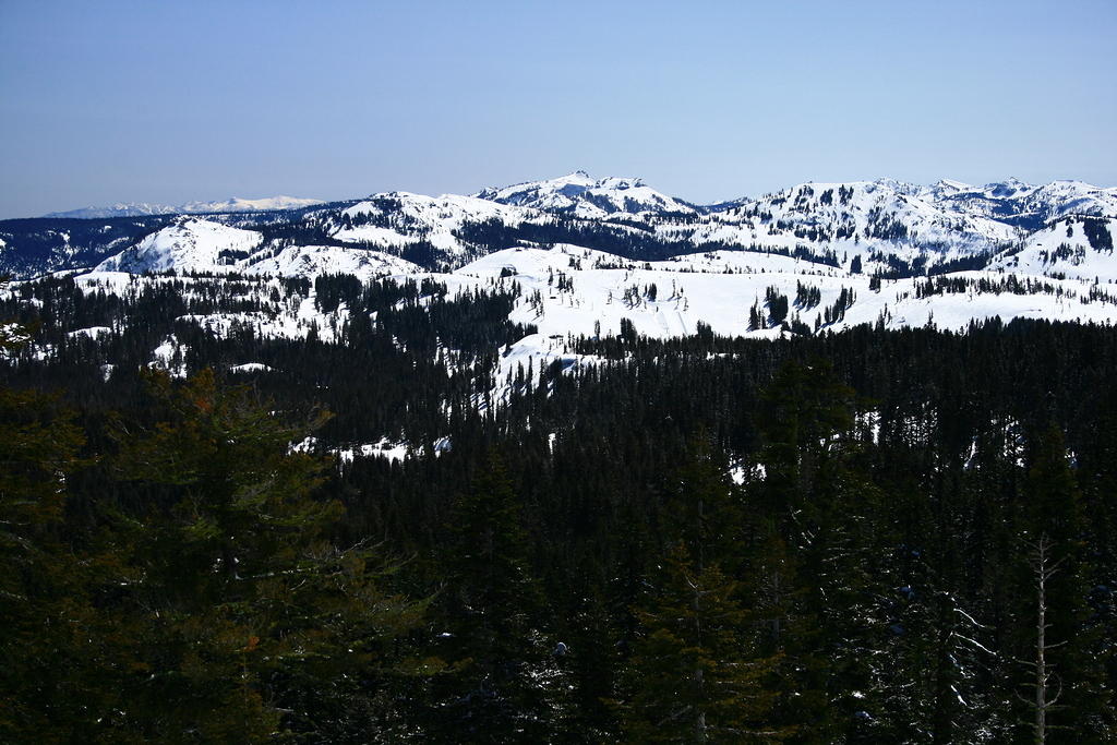 IMG_6522.JPG