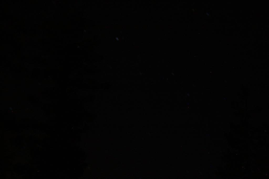 IMG_6603.JPG