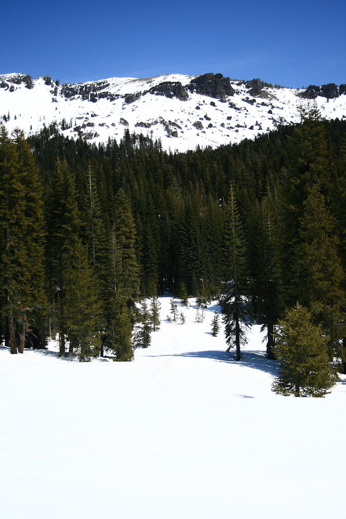 IMG_6614.JPG