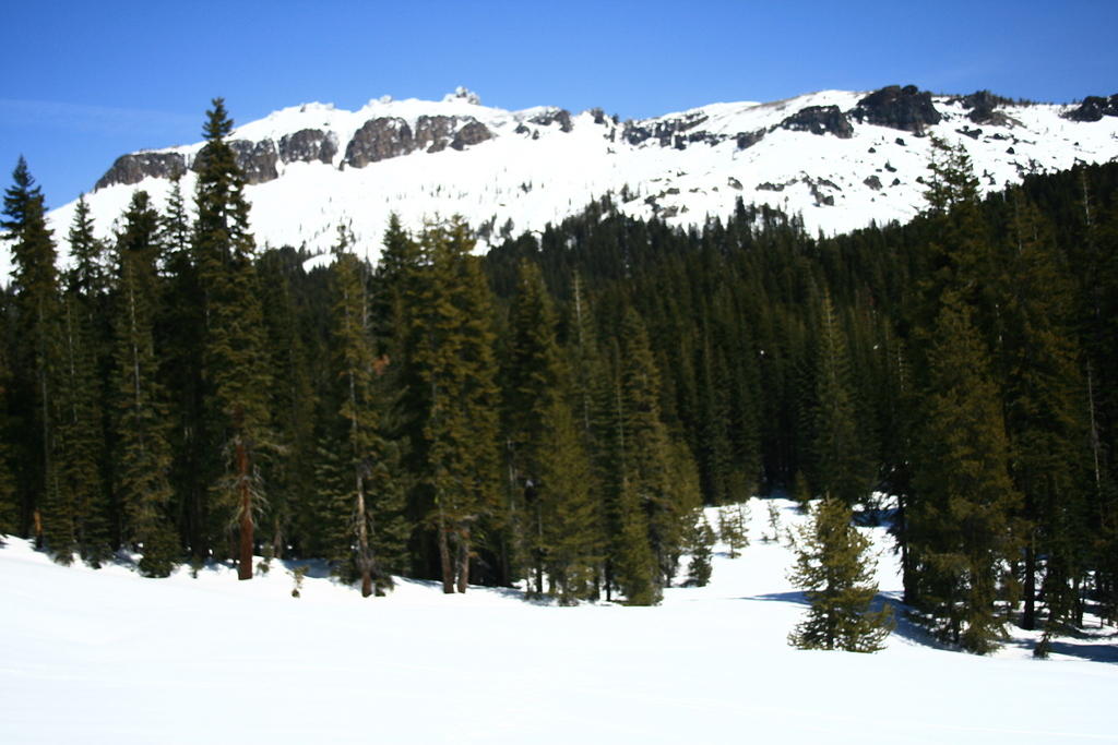 IMG_6615.JPG