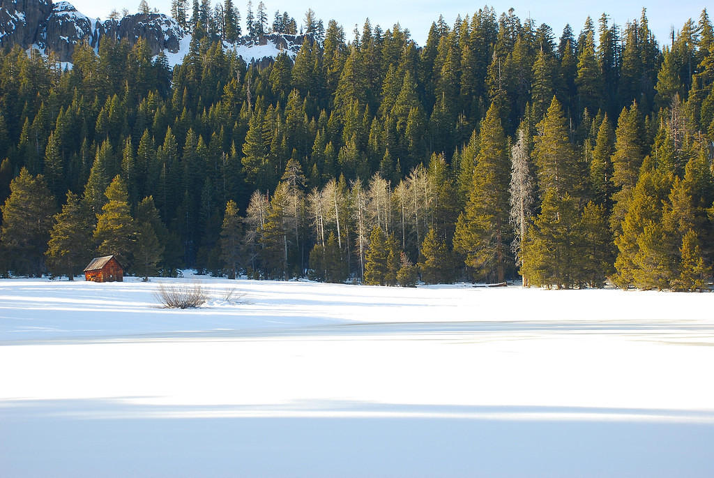 DSC_0026.JPG