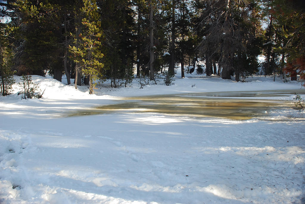 DSC_0031.JPG