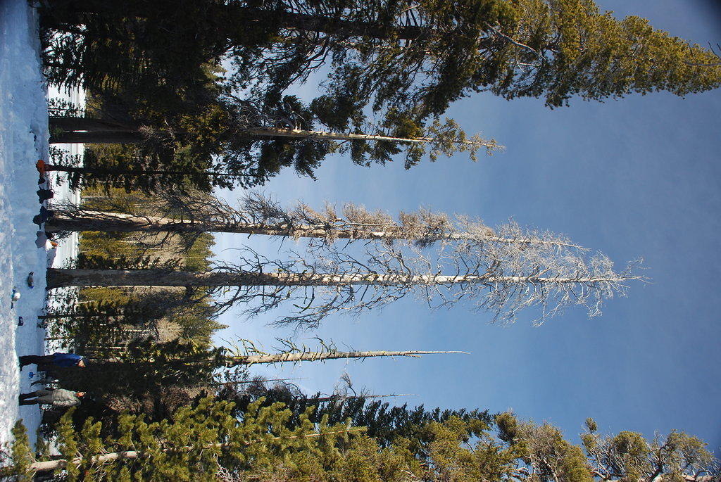 DSC_0043.JPG
