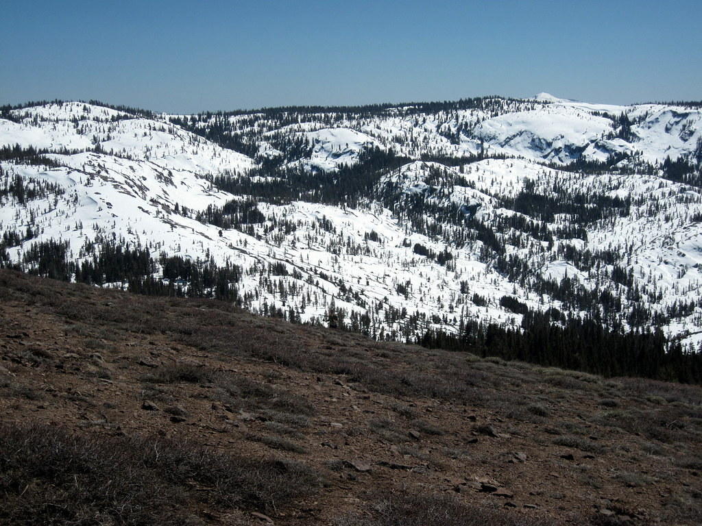 IMG_2084.JPG