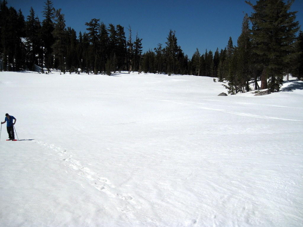 IMG_2130.JPG