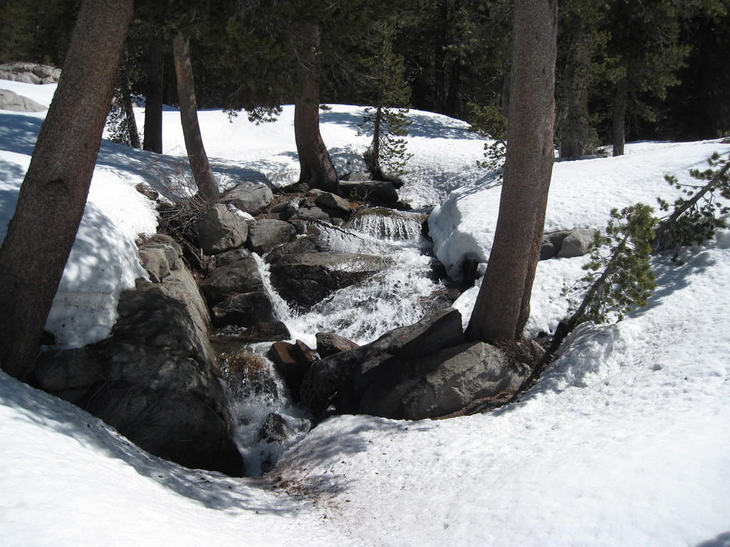 IMG_2132.JPG