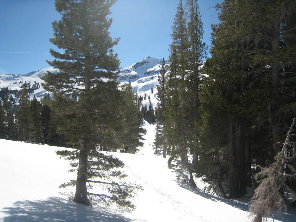 IMG_6060.JPG