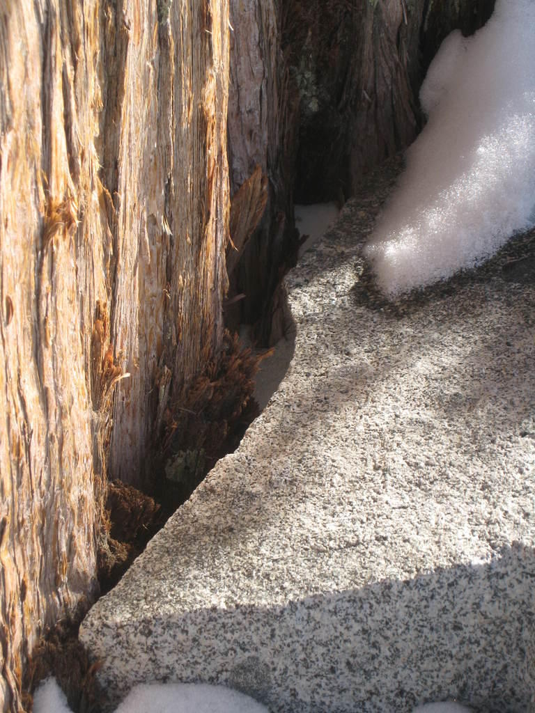 IMG_6106.JPG